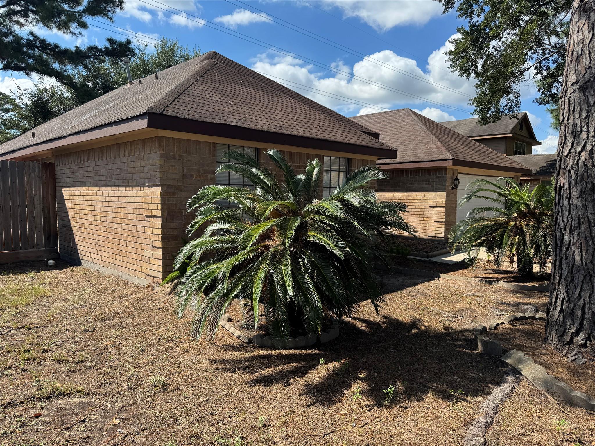 Residential Lease in Spring 5