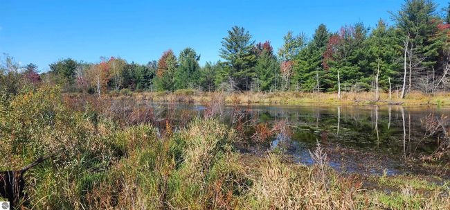40 Acres Truesdale Road, Home with 0 bedrooms, 0 bathrooms and null parking in Manton MI | Image 5