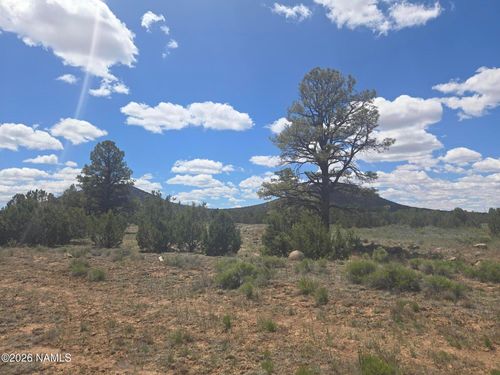 7434 N Elk Run Trail, Williams, AZ, 86046 | Card Image