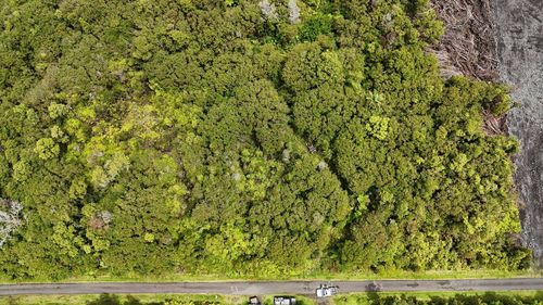 11-1733 Punawai Ave, MOUNTAIN VIEW, HI, 96771 | Card Image