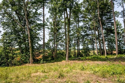 0 Piney Woods Rd, TIMBERVILLE, VA, 22853 | Card Image
