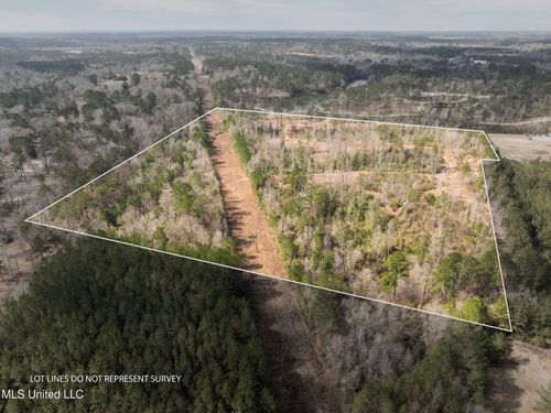 36.08 +/- Acres Placid Drive, Sumrall, MS, 39482 | Card Image