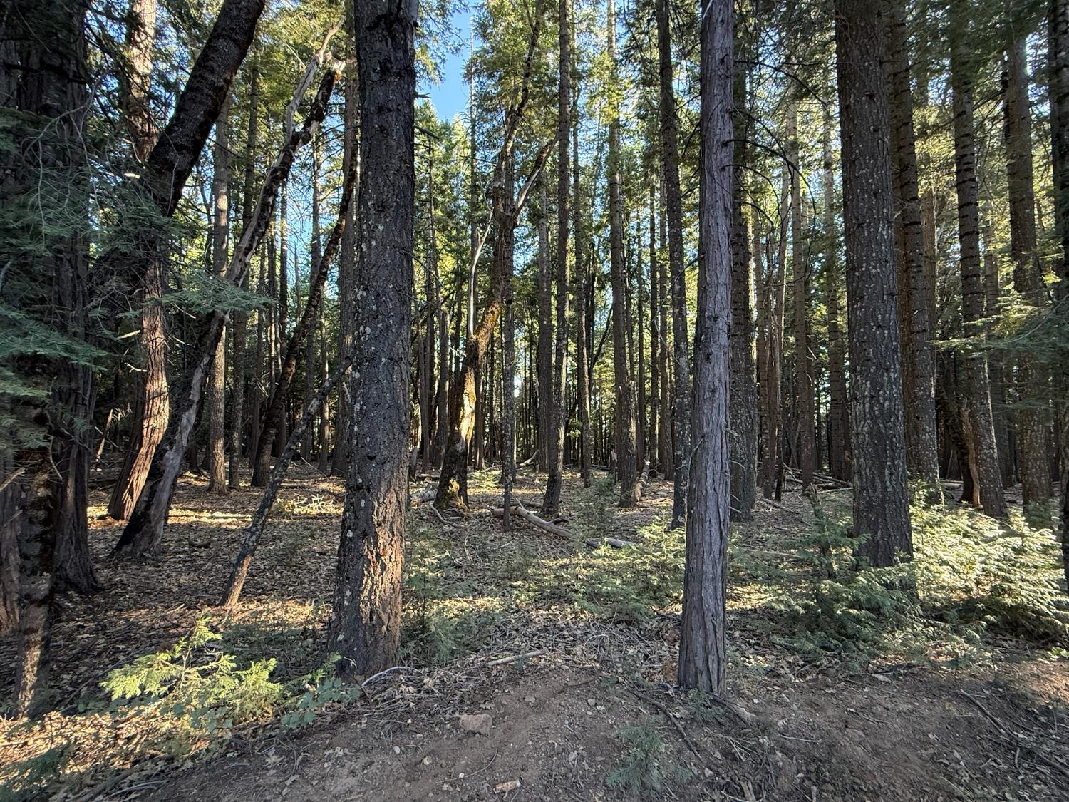 Land in Nevada City