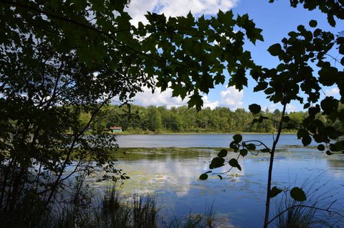 2079 N Applebee Ln, Fairview, MI, 48621-9805 | Card Image