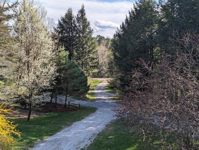 120 Murray Rd, House other with 3 bedrooms, 2 bathrooms and null parking in Perkinsville VT | Image 4