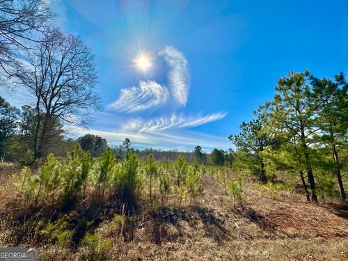 0 Douglas Creek Rd, Flovilla, GA, 30216 | Card Image