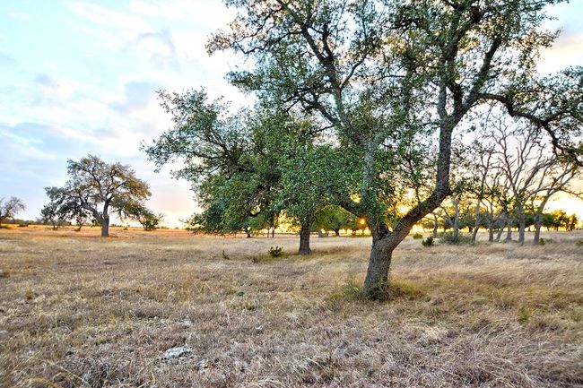104 - Lot 104 Oryx View Dr, Home with 0 bedrooms, 0 bathrooms and null parking in Harper TX | Image 7