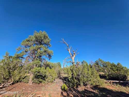 50231228 E Red Butte Rd S, Williams, AZ, 86046 | Card Image