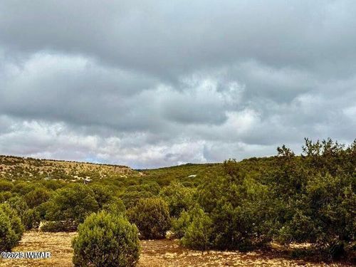 TBD Co Rd 8256 Lot E 10 Acres, Concho, AZ, 85924 | Card Image
