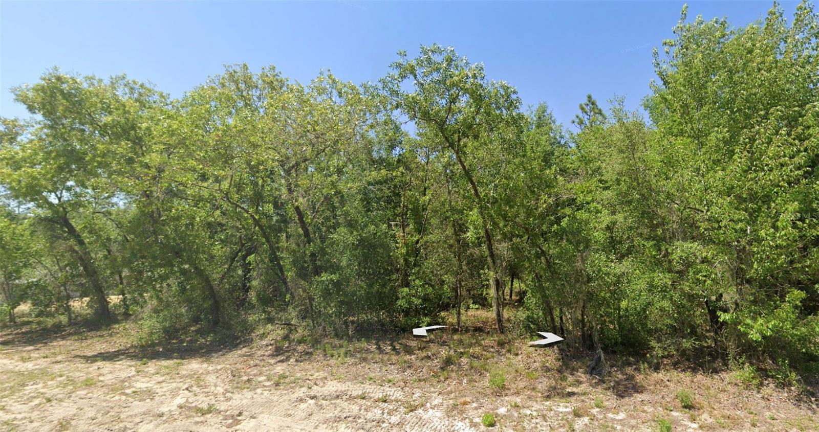 Land in DUNNELLON