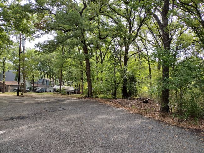 View of street | Image 6
