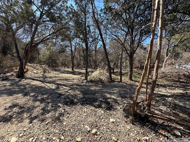 4621 Mccall Creek Rd, Home with 0 bedrooms, 0 bathrooms and null parking in Blanco TX | Image 16