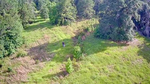 lot 184 &amp; 185 Hunters Creek, Hillister, TX, 77624 | Card Image