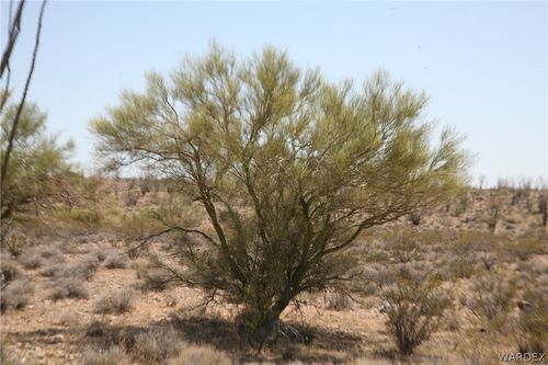 245-24-067A & B Lorton Drive, Yucca, AZ, 86438 | Card Image