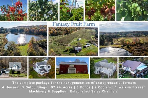 464 Hall Road, Afton, NY, 13730 | Card Image