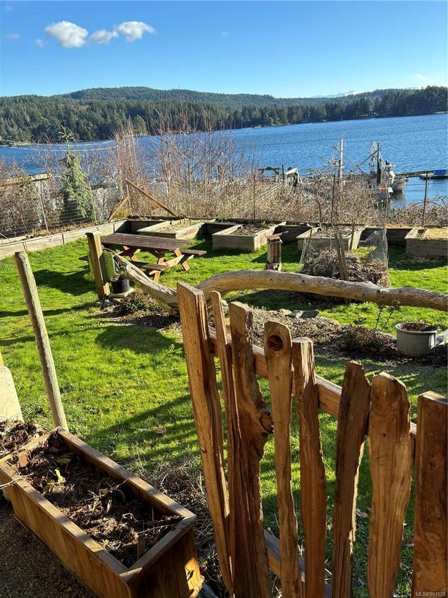 Shared garden beds | Image 37