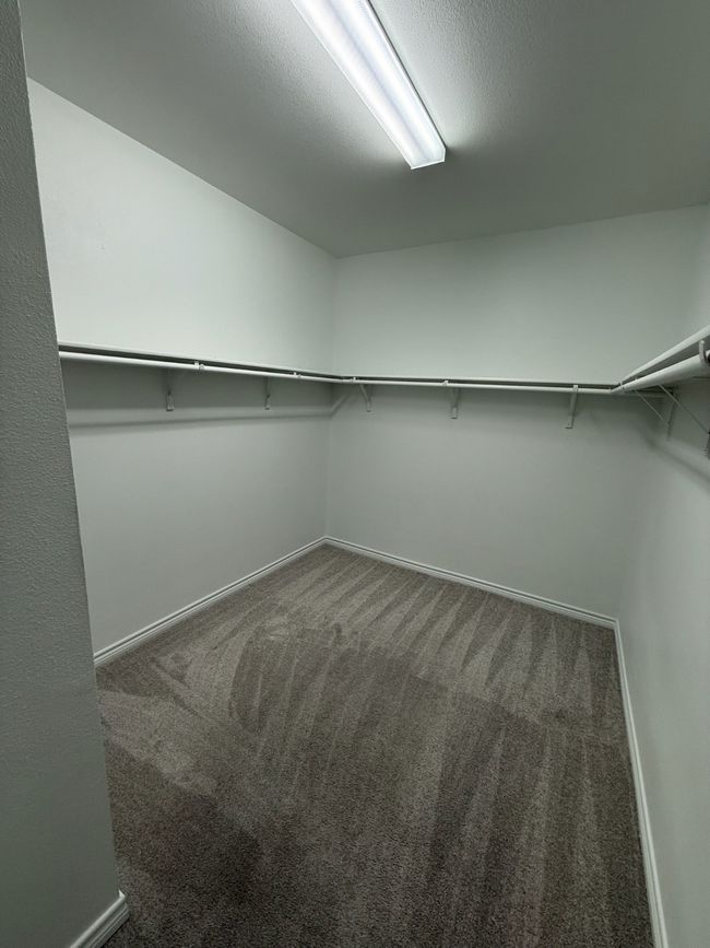 Spacious closet featuring carpet | Image 26