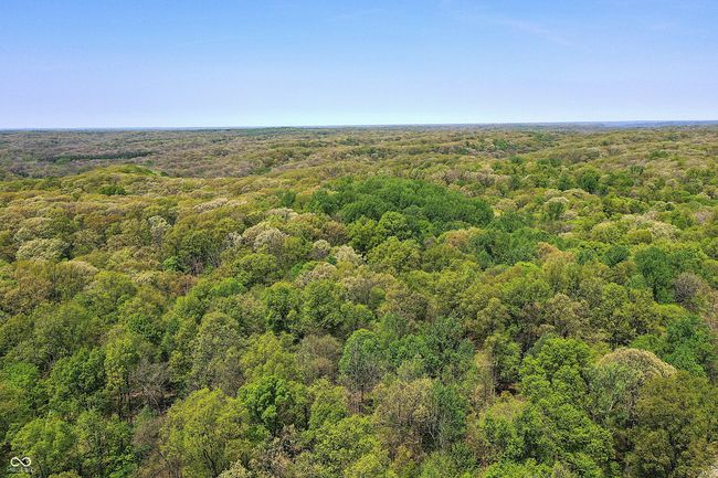 0 Possum Trot Rd, Home with 0 bedrooms, 0 bathrooms and null parking in Unionville IN | Image 13