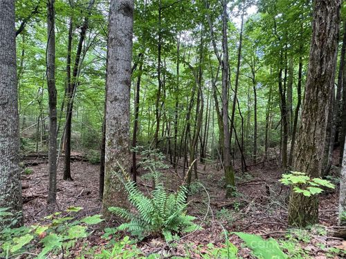 216-0 Quail Ridge Rd, Lake Lure, NC, 28746 | Card Image