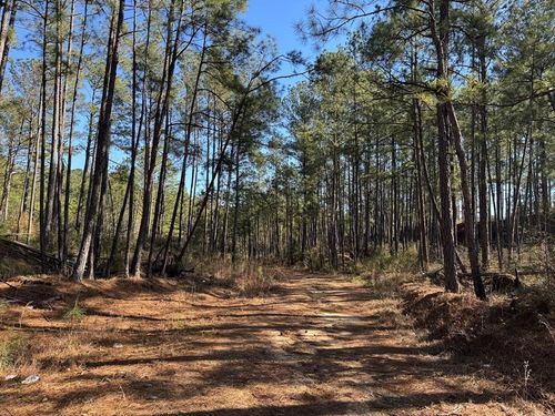 3144 Charlie Rhodus Rd, Magnolia, MS, 39652-8916 | Card Image