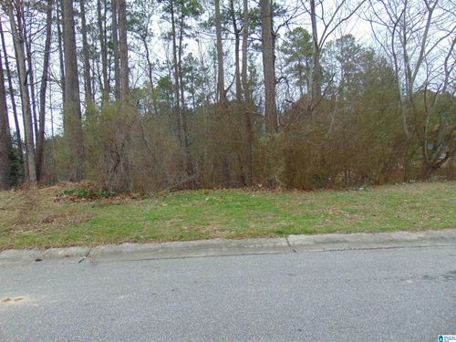 803-1208 Grande View Ln, ALABASTER, AL, 35114-6098 | Card Image