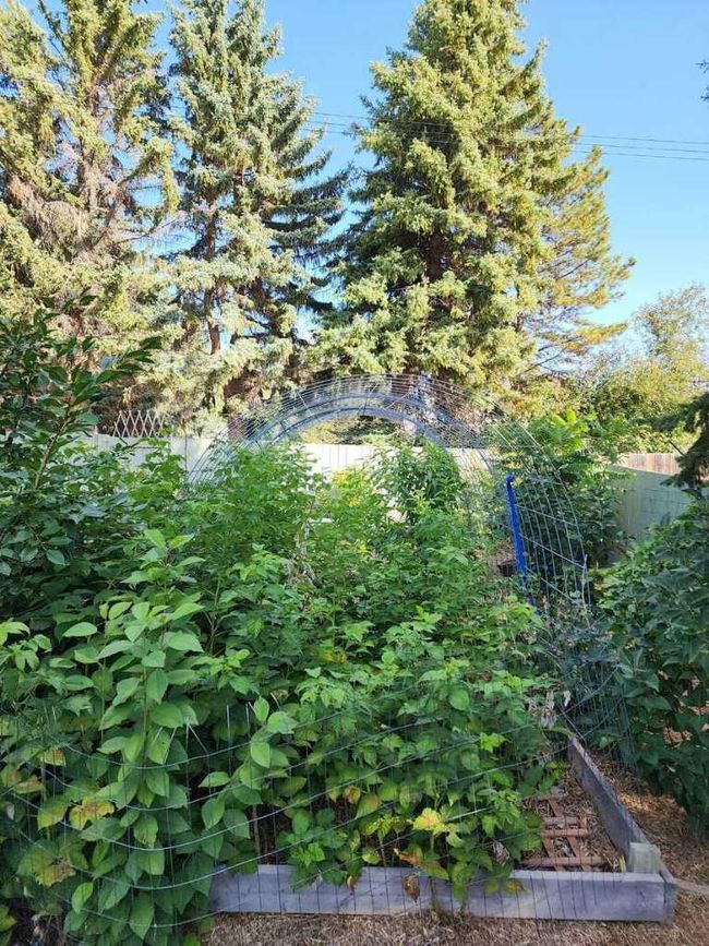 221 Center Avenue Ne, House other with 3 bedrooms, 2 bathrooms and 5 parking in Milk River AB | Image 32