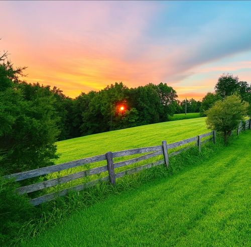 1231 Pleasant Grove Ridge Rd, Mount Eden, KY, 40046-9504 | Card Image