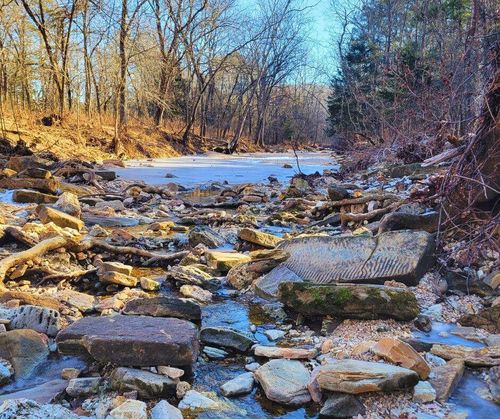 000 County Road 247, Drury, MO, 65638 | Card Image