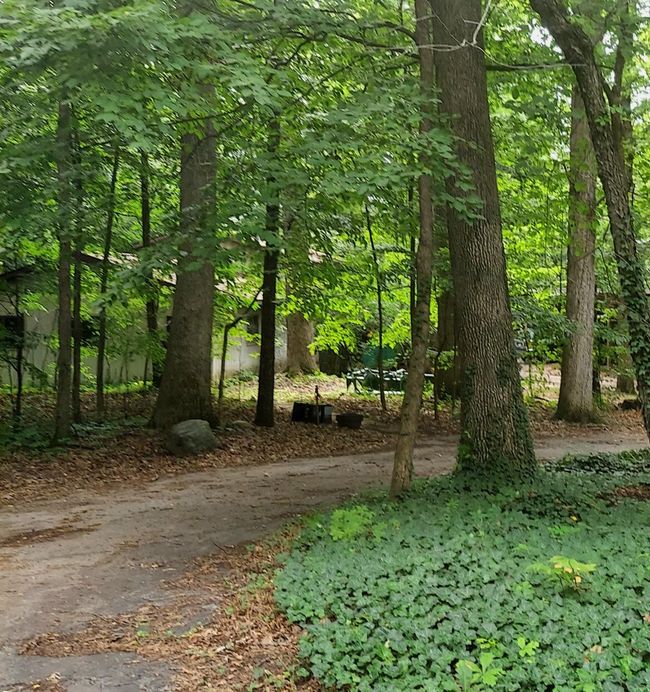 405 Buck Rd, Home with 2 bedrooms, 2 bathrooms and null parking in Coldwater MI | Image 25