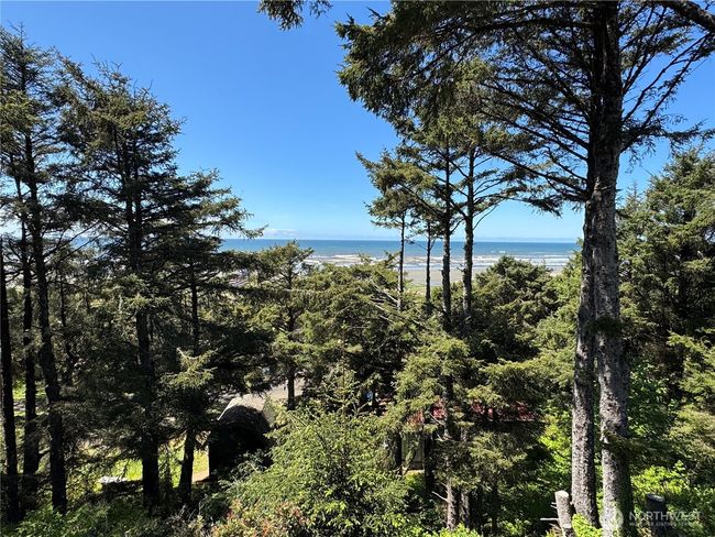 4751 State Route 109, House other with 1 bedrooms, 1 bathrooms and null parking in Moclips WA | Image 19