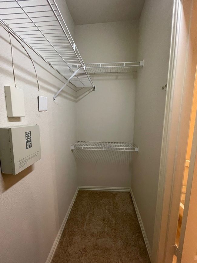 Spacious closet with carpet | Image 18
