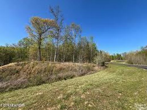 391 Thiefneck View Dr, Rockwood, TN, 37854 | Card Image