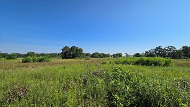 333 County Road 3092, Home with 0 bedrooms, 0 bathrooms and null parking in De Berry TX | Image 4