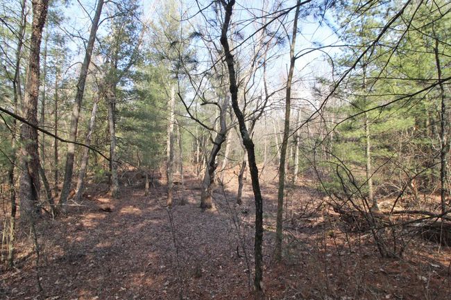 7750 Pine Rd, House other with 3 bedrooms, 2 bathrooms and null parking in ARENA WI | Image 61