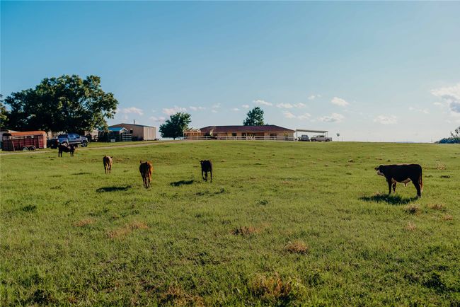View of yard with a rural view | Image 38