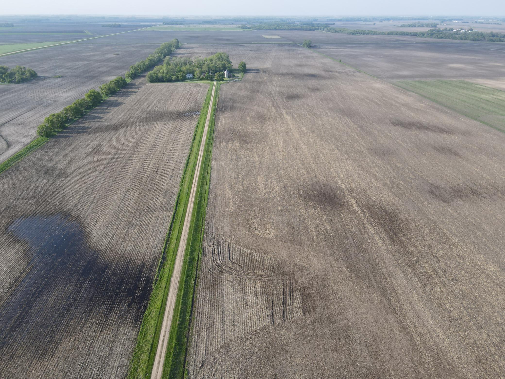 Land in Benson 2