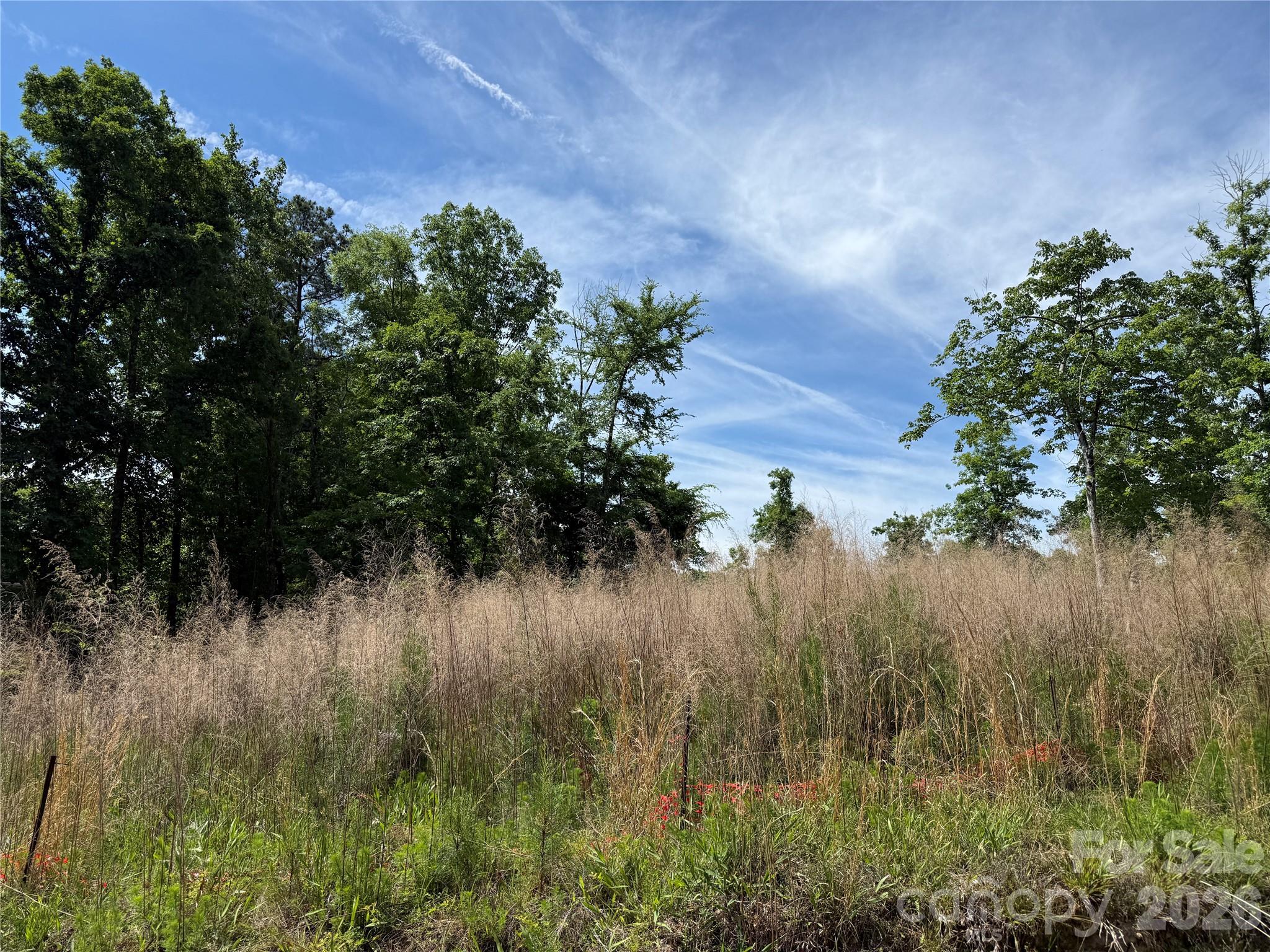 Land in Troutman 2