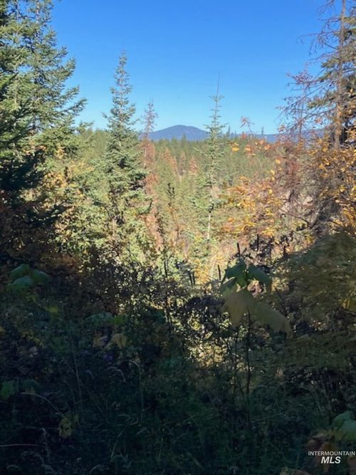 TBD Glacier Dr, Saint Maries, ID, 83861 | Card Image