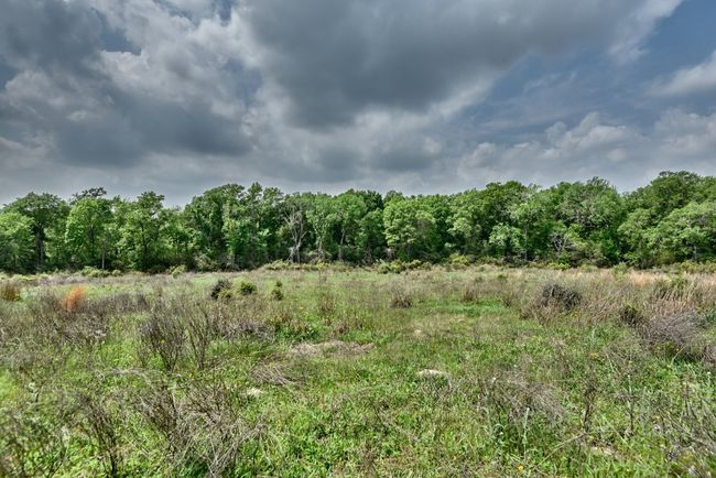 View of landscape | Image 32
