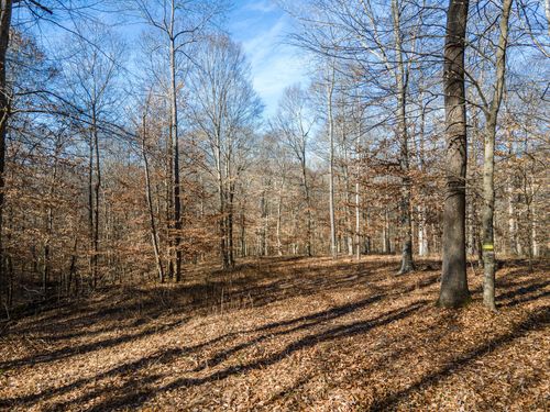 0 Highway 49 E, Ashland City, TN, 37015 | Card Image