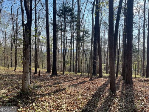 TRACT 1B Chalcrest Way, Cave Spring, GA, 30124-2280 | Card Image