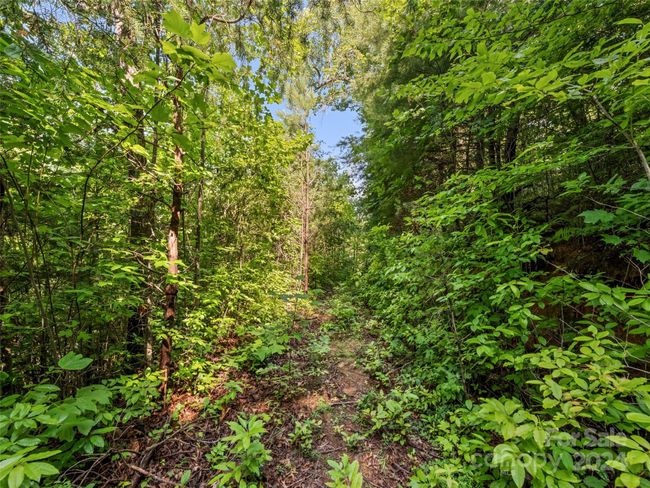 00 Ashe Loop Rd, Home with 0 bedrooms, 0 bathrooms and null parking in Sylva NC | Image 7