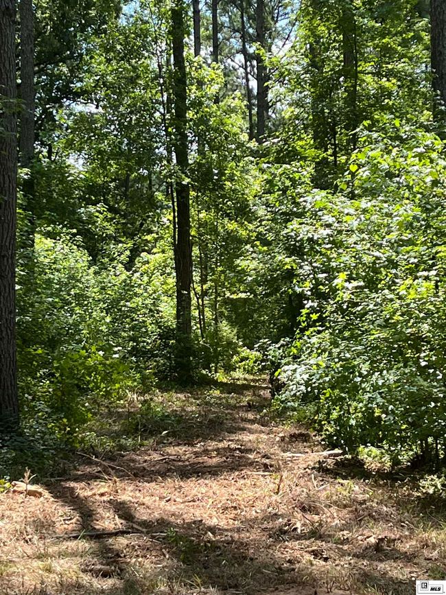 000 Highway 146, Home with 0 bedrooms, 0 bathrooms and null parking in Ruston LA | Image 16