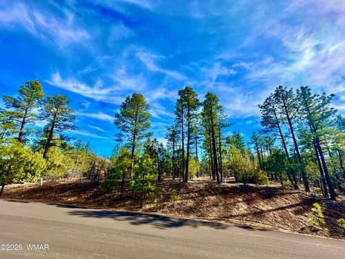 321 W Aspen Trl, Show Low, AZ, 85901-3071 | Card Image
