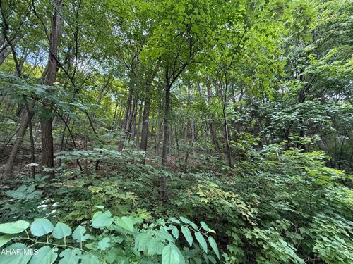 20 Overland Pass, Claysburg, PA, 16625 | Card Image