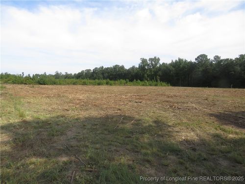 Lot D Survey Drive, Fairmont, NC, 28340 | Card Image