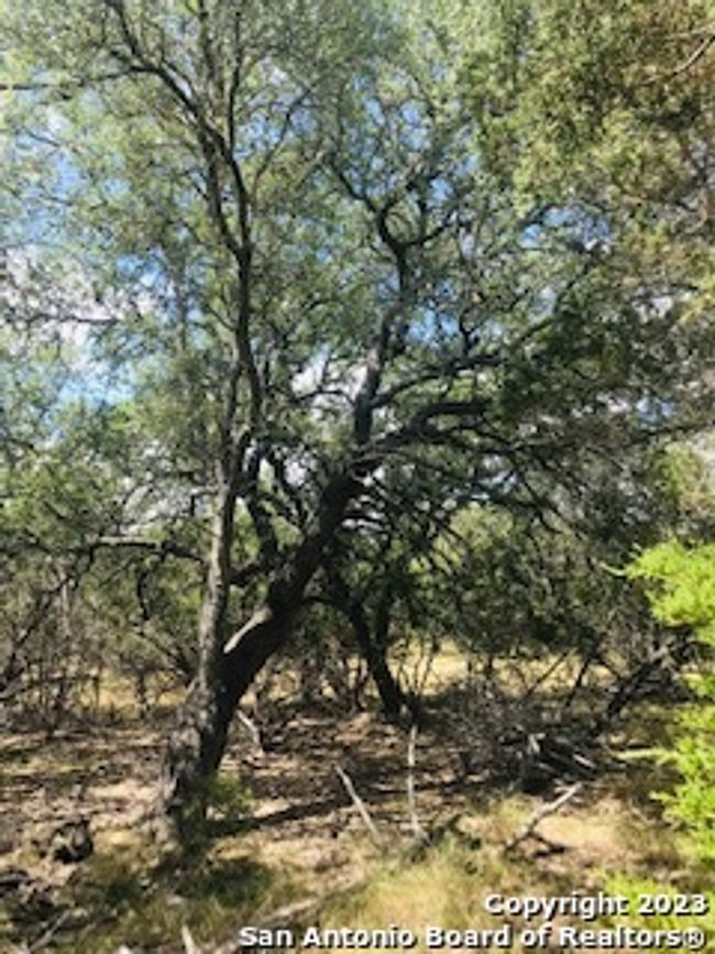 26 Mustang Crossing Dr, Home with 0 bedrooms, 0 bathrooms and null parking in Pipe Creek TX | Image 6