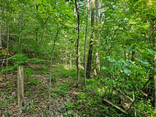 Lot 10 Kristina Way, Sevierville, TN, 37862-8567 | Card Image
