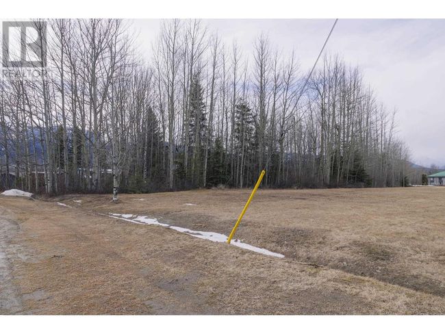 1105 S Frontage Rd, Home with 0 bedrooms, 0 bathrooms and null parking in Mcbride BC | Image 11