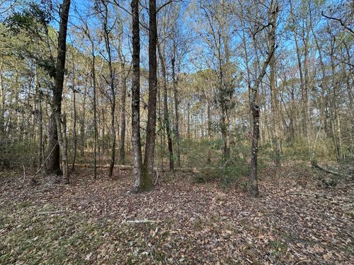lot-3-0 Cooke Rd, Johns Island, SC, 29455 | Card Image
